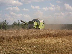 Claas Dominator 86
