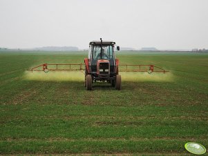 Massey Ferguson 3050 + opryskiwacz