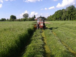 T-25 + kosiarka z173