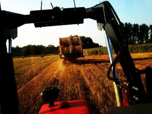 Massey ferguson