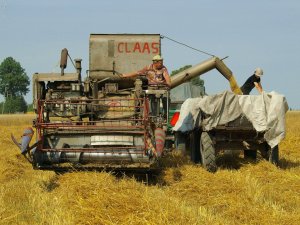 Claas