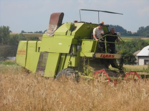 Claas mercator 60