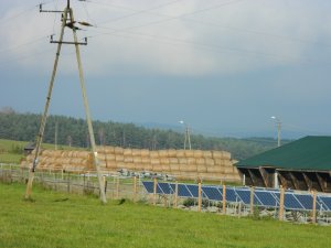 Stadnina koni huculskich "Gładyszów"