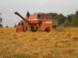 Massey Ferguson 186