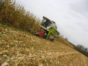 Claas Dominator 76