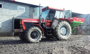 Ursus 914 + Rozsiewacz Brzeg MLX 2000