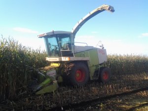 Claas Jaguar 840 + RU 450