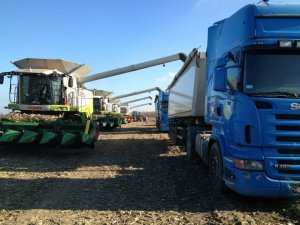 Class Lexion 600 I Lexion 480