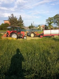 Massey Ferguson 255 + Famarol Z-105/1 & Ursus C-330 + SIP PRP2
