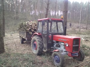 Ursus C-360 & przyczepa jednoosiowa