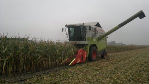 Claas Medion 310 & Olimac Dragon 4