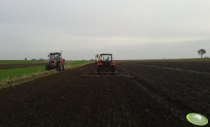 Massey Ferguson 255 + brony