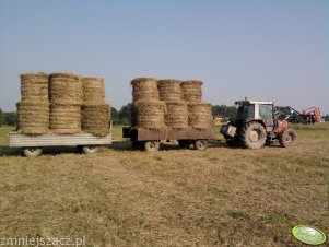 Massey Ferguson 3060 i przyczepy