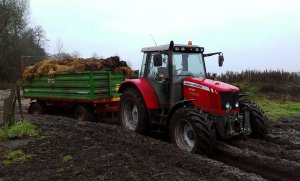 Massey Ferguson 5445 + Auto-Tech 8 PT