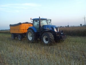 New Holland T7040 oraz Wielton12t