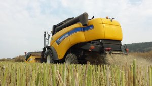 New Holland CX5080
