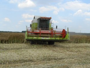 Claas dominator 98sl Maxi