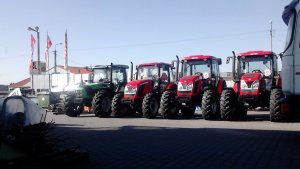 Zetor Proxima x2 & Zetor Major 80 & DF Agrofarm