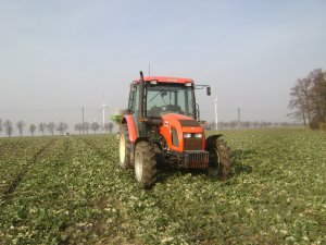 Zetor 6441 Proxima & Unia Brzeg