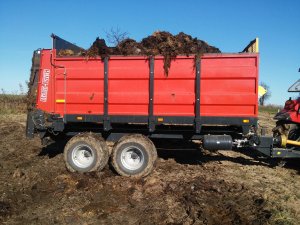 MetalFach N267