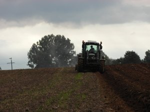 Fendt 312