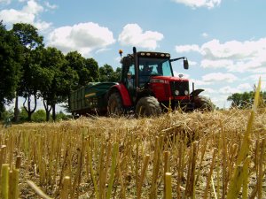 Massey Ferguson 5425 i przyczepa