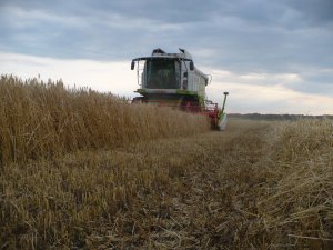 Claas Lexion 650