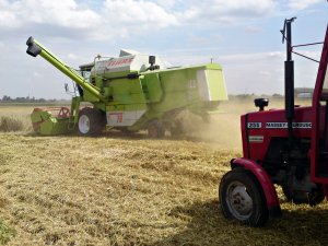 Claas Dominator 76 & Massey Ferguson 255