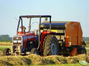 Massey Ferguson 350 + polmot Warfama