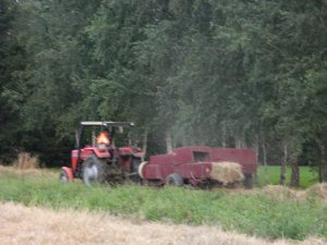 Massey Ferguson 255, Sipma z224