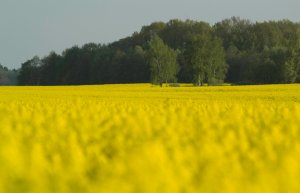 jest najlepszą ochroną  na Twó