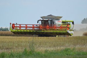 Claas Lexion 770TT + V1200