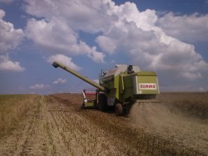 Claas Dominator 96