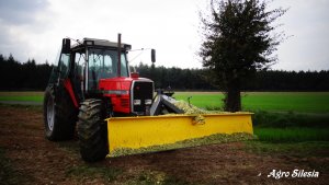 Massey Ferguson 3115