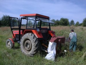 Ursus C360 & rębarka do gałęzi