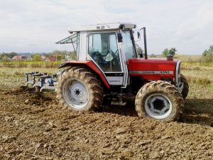 Massey Ferguson 3060 + Rabewerk