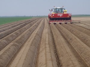 Grimme GL 430