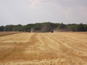 Żniwa Claas Ursus