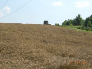 DSCN1900