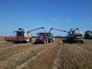 Claas Lexion 450 & Claas Lexion 540 & Case Maxxum 140