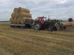 MTZ 82 i HL 8011