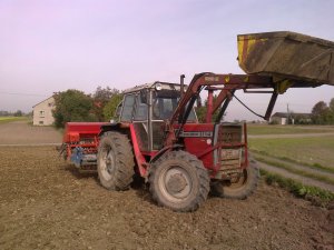 Massey Ferguson 1114