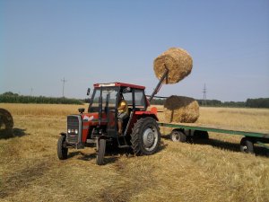 Massey Ferguson 255