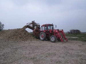 Mtz 82 + Neptun z413