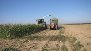 Zetor Forterra 125 & Claas Jaguar 830