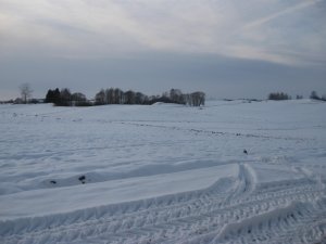 Zima Na Podlasiu 2014