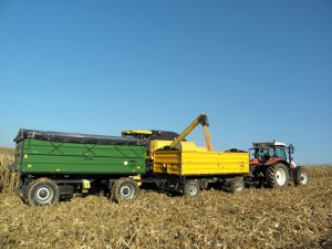 Steyr Profi 6140 + Wielton PRS-2/W8 + Wielton PRS-2/W10