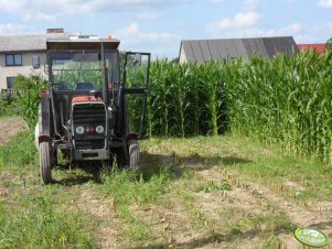 Massey Ferguson 255