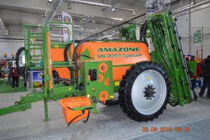 Amazone