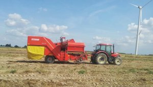 Grimme 75-40 & Zetor 8441